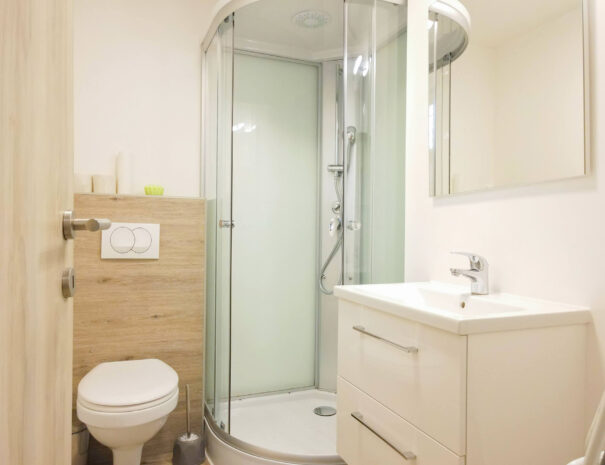 Hiška 2 - kopalnica 4