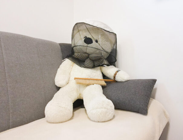 Hiška 2 - dnevna soba detajl 1