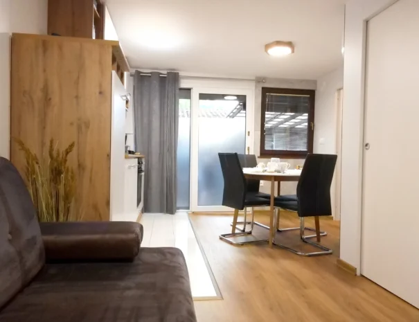 Dnevni prostor in jedilnica